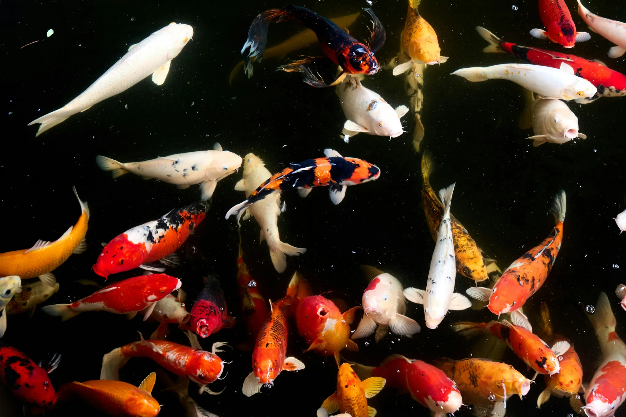 What is organisational culture – and why should you care?