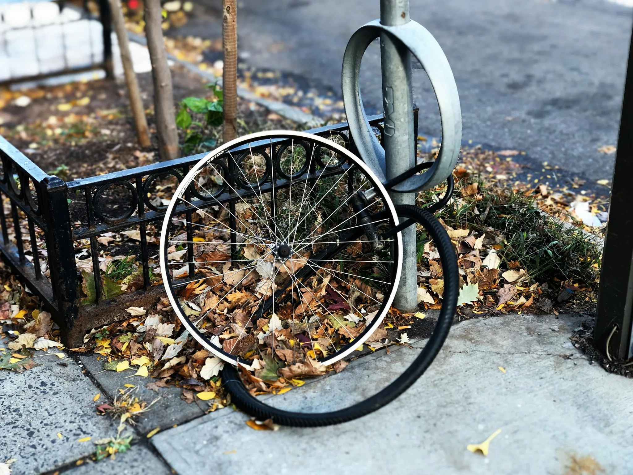 How sustainable is your resilience?