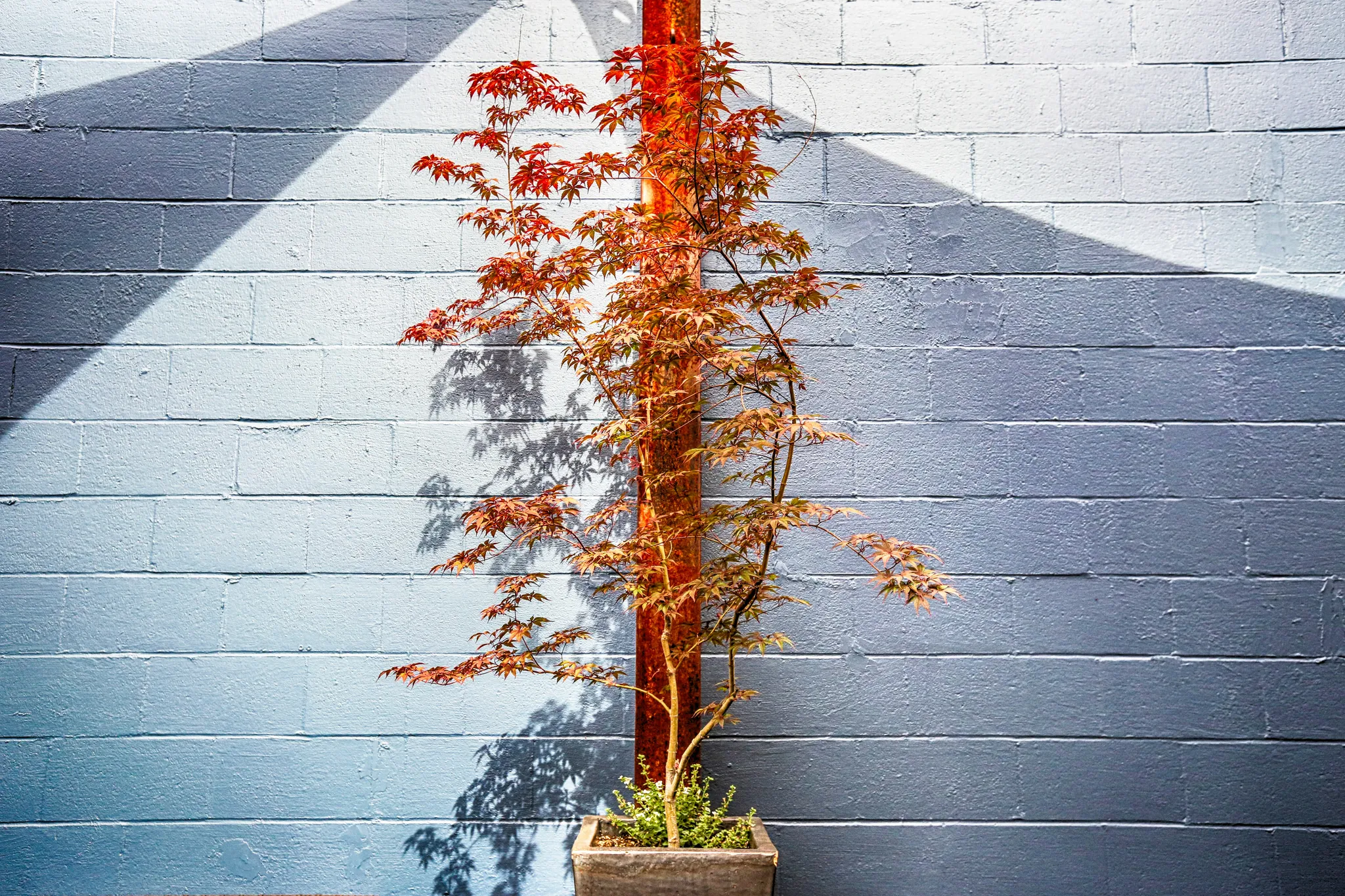 Vertical Development in Personal Growth